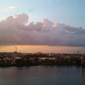 Meet your Posher, Liz